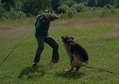 Training in Estonia 6/2007